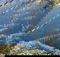 Forest Walk to Sublime Point Track