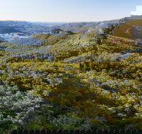 Gold Coast Hinterland Great Walk - Whitsundays Accommodation