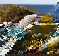 Green Island Walking Track - Whitsundays Accommodation