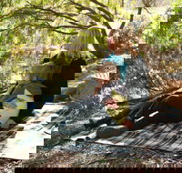 Haig Street Quarry Bushland Reserve Trails - Whitsundays Accommodation