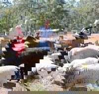 Haigslea EWE Nique Hobby Farm - Whitsundays Accommodation