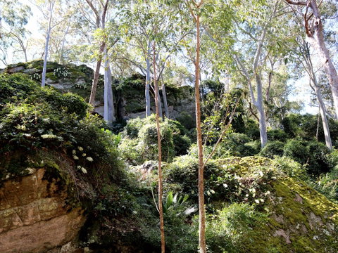 Haunted Point Loop Walk - Whitsundays Accommodation 0