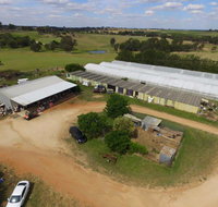 Hill-Lock Orchard