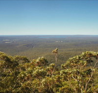 Jerrawangala National Park - Whitsundays Accommodation