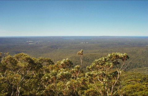 Jerrawangala National Park - Whitsundays Accommodation 0