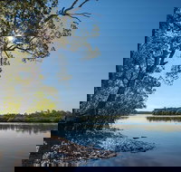 Karuah River National Park and Nature Reserve - Whitsundays Accommodation