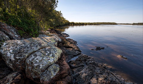 Karuah River National Park And Nature Reserve - Whitsundays Accommodation 2
