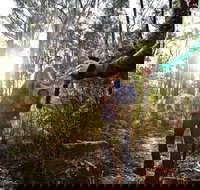 Kinglake National Park - Whitsundays Accommodation