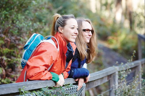 Kinglake National Park - Whitsundays Accommodation 2