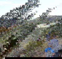 Kinchina Conservation Park - Whitsundays Accommodation