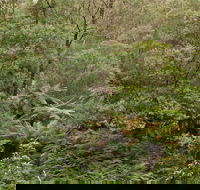 Lind National Park - Whitsundays Accommodation