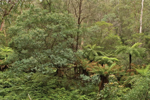 Lind National Park - Whitsundays Accommodation 0