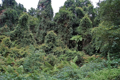 Lind National Park - Whitsundays Accommodation 1