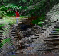 Montezuma Falls - Whitsundays Accommodation