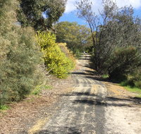 Naracoorte North Nature Park - Whitsundays Accommodation