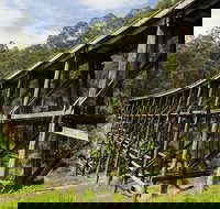 Noojee Trestle Bridge - Whitsundays Accommodation