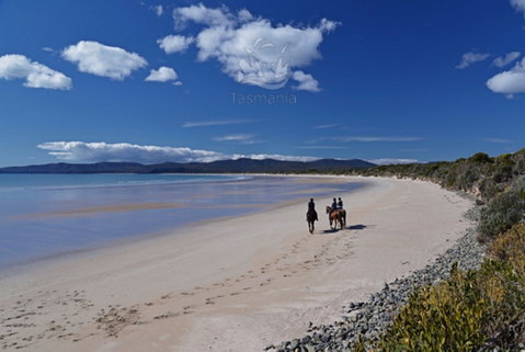 North West - Whitsundays Accommodation 0