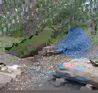 Northbrook Mountain Bush Camp - Whitsundays Accommodation