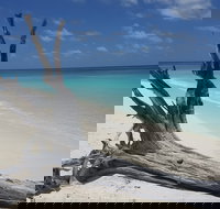 North West Island - Whitsundays Accommodation