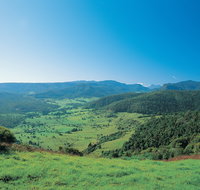 Numinbah Section Springbrook National Park - Whitsundays Accommodation