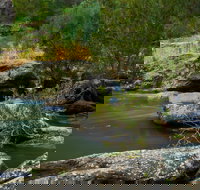 Onkaparinga River National Park - Whitsundays Accommodation