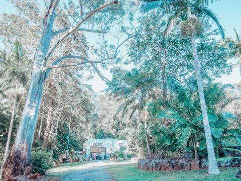 Phillips Gallery - Whitsundays Accommodation 0