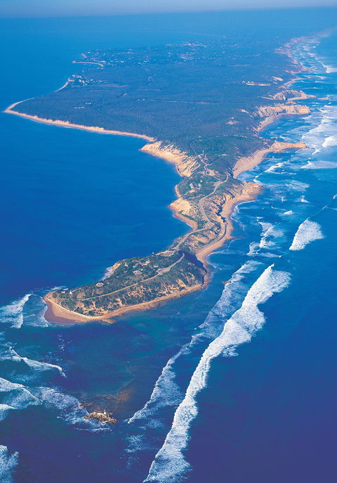 Point Nepean National Park Trails - Whitsundays Accommodation 0