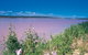 Port Gregory - thumb 0