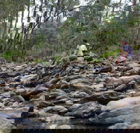 Rocksberg Park Heritage Reserve - Whitsundays Accommodation