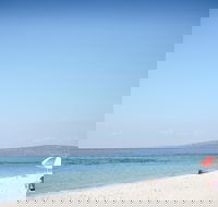 Rosebud and McCrae Bay Trail - Whitsundays Accommodation