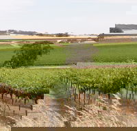 Smidge Wines Tasting Room