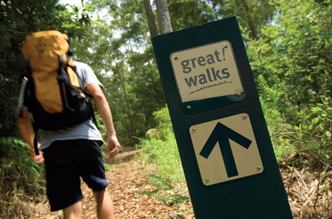 Sunshine Coast Hinterland Great Walk - Whitsundays Accommodation 0