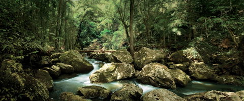 Sunshine Coast Hinterland Great Walk - Whitsundays Accommodation 1