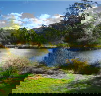 Tasmanian Arboretum Inc. - The - Whitsundays Accommodation