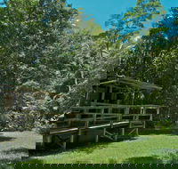Terania Creek Picnic Area - Whitsundays Accommodation