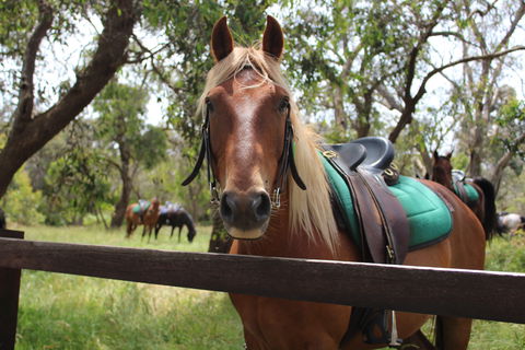 The Ranch - Whitsundays Accommodation 2