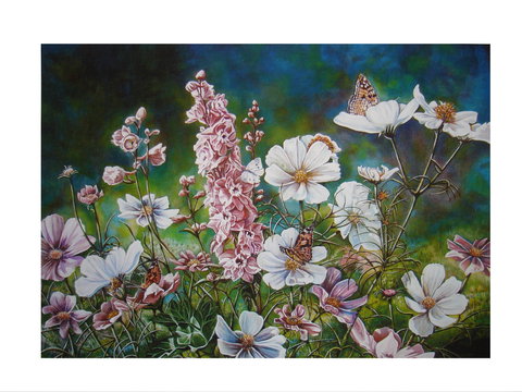 The Homestead Gallery - Whitsundays Accommodation 0