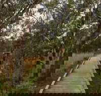 The Briars Park Walking Trails - Whitsundays Accommodation