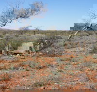 Winnecke Goldfield Cemetery - Whitsundays Accommodation