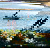 Ayr - Whitsundays Accommodation