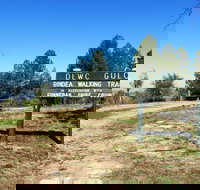 Bindea Walking Track - Whitsundays Accommodation