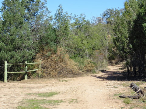 Bindea Walking Track - Whitsundays Accommodation 1