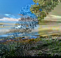 Black Oaks Picnic Area - Whitsundays Accommodation