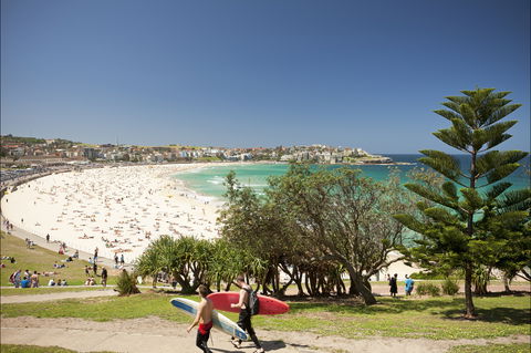 Bondi To Coogee Coastal Walk - Whitsundays Accommodation 0