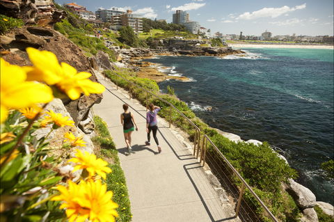 Bondi To Coogee Coastal Walk - Whitsundays Accommodation 2