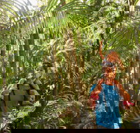 Canungra - Whitsundays Accommodation