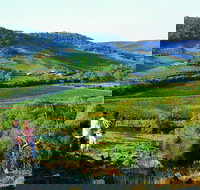 Chittering - Whitsundays Accommodation