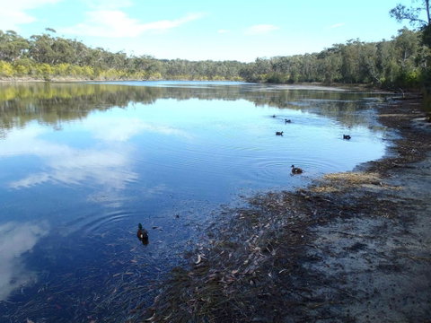 Conjola National Park - Whitsundays Accommodation 0