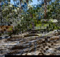 Couridjah Corridor Walk - Whitsundays Accommodation