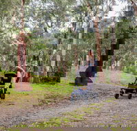 Currawong Bush Park - Whitsundays Accommodation